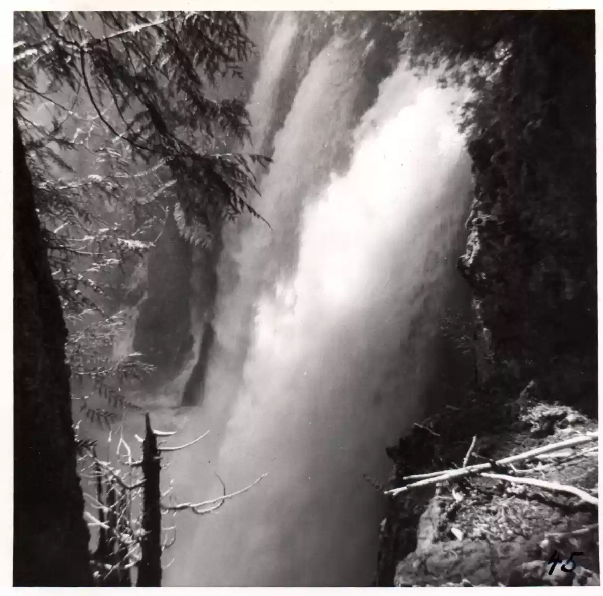 45 - Feast at Belknap Springs, OR